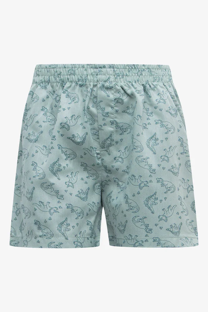 3 Pack Boxers Green (2)