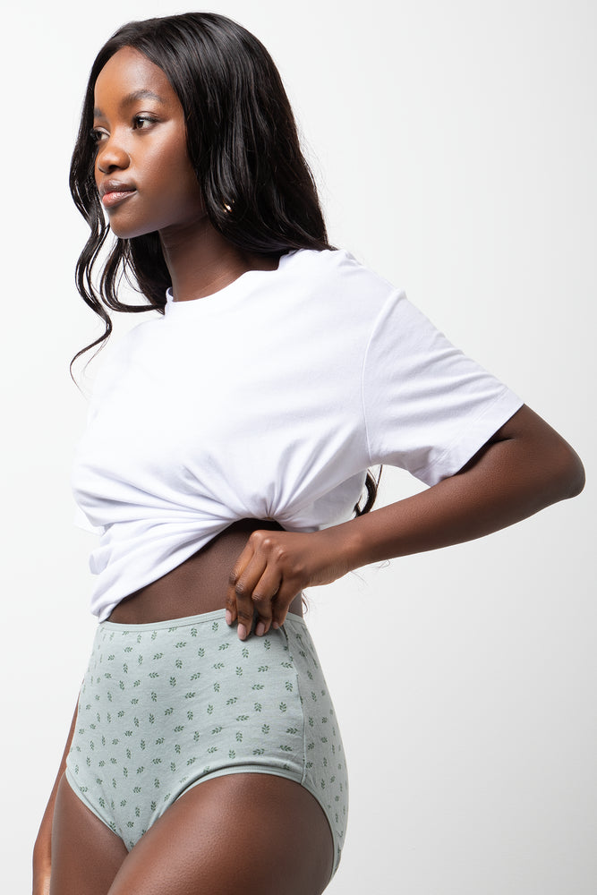 3 Pack Brief Panties (2)