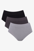 3 Pack Seam Free Brief Panties (1)