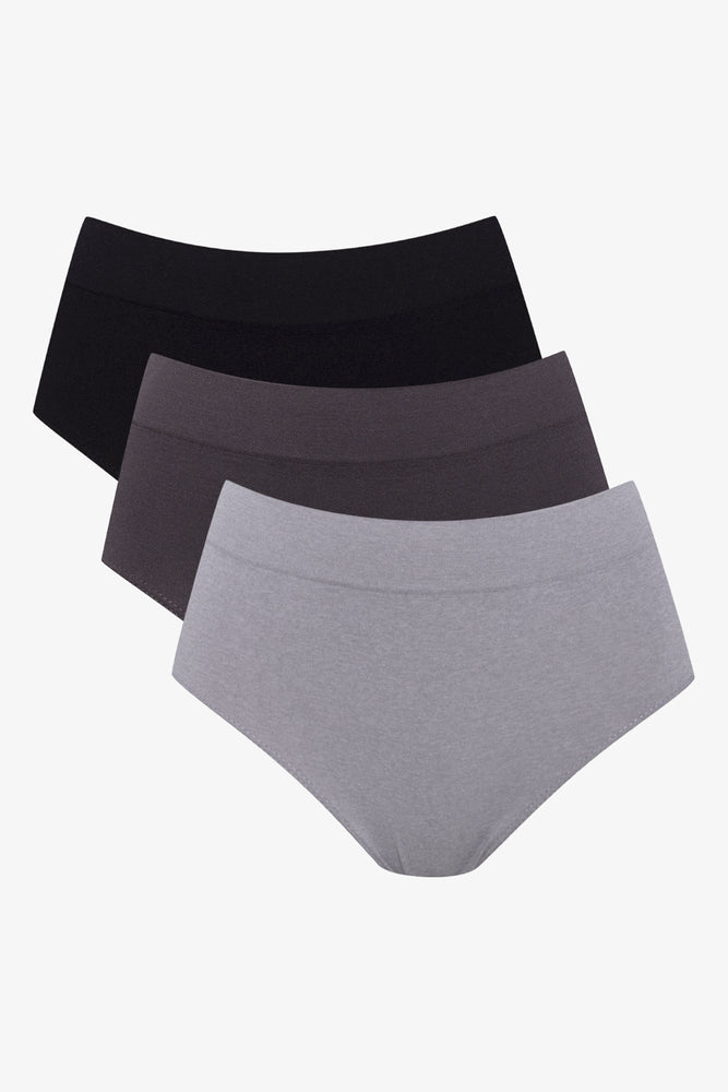 3 Pack Seam Free Brief Panties (1)