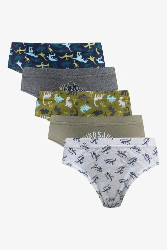 5 Pack Dinosaur Briefs Multi