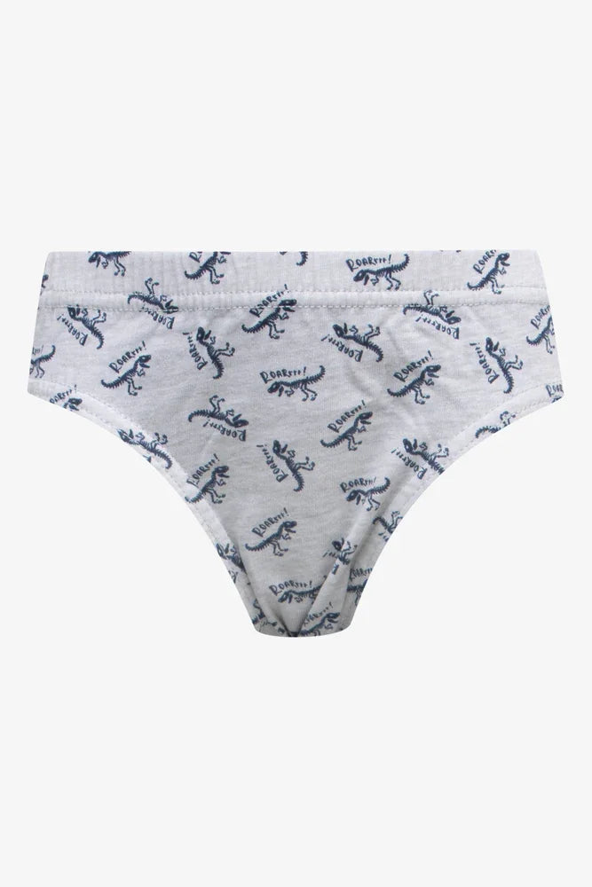 5 Pack Dinosaur Briefs Multi (1)