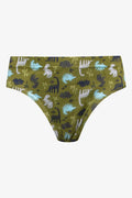 5 Pack Dinosaur Briefs Multi (4)