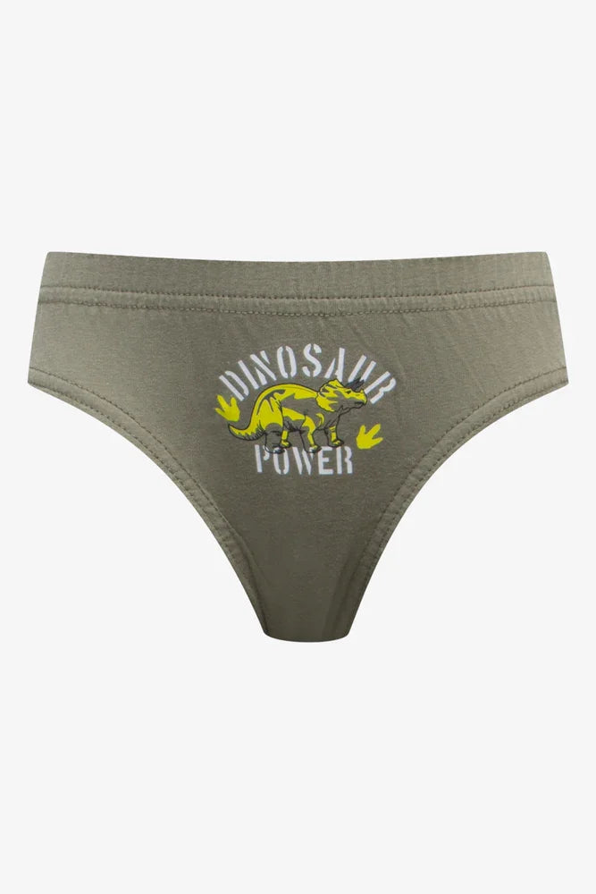 5 Pack Dinosaur Briefs Multi (5)