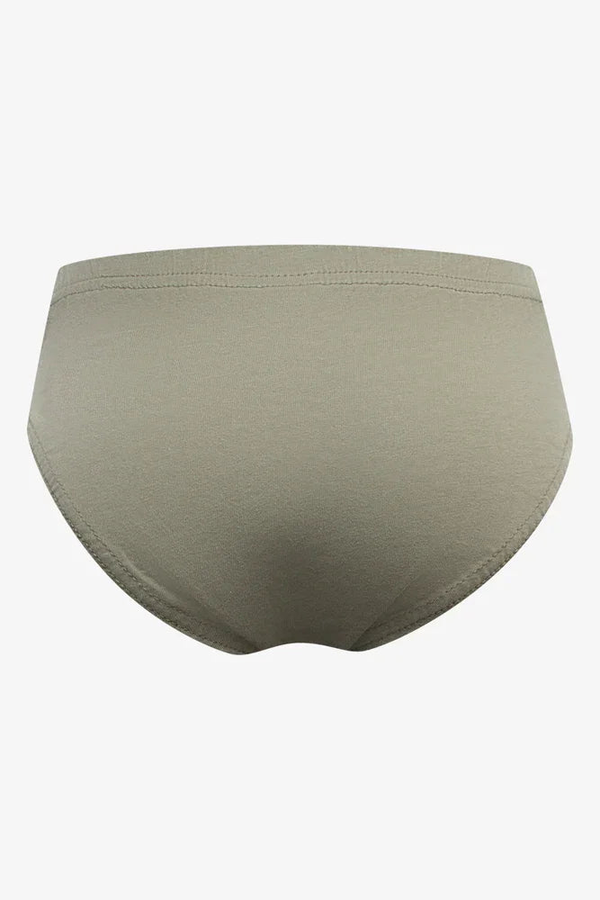 5 Pack Dinosaur Briefs Multi (6)