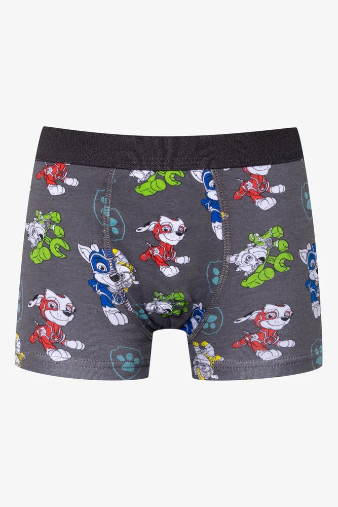 Paw Patrol 2 Pack Knit Boxers Grey And Blue (2)