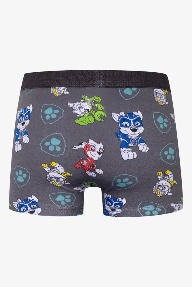 Paw Patrol 2 Pack Knit Boxers Grey And Blue (3)