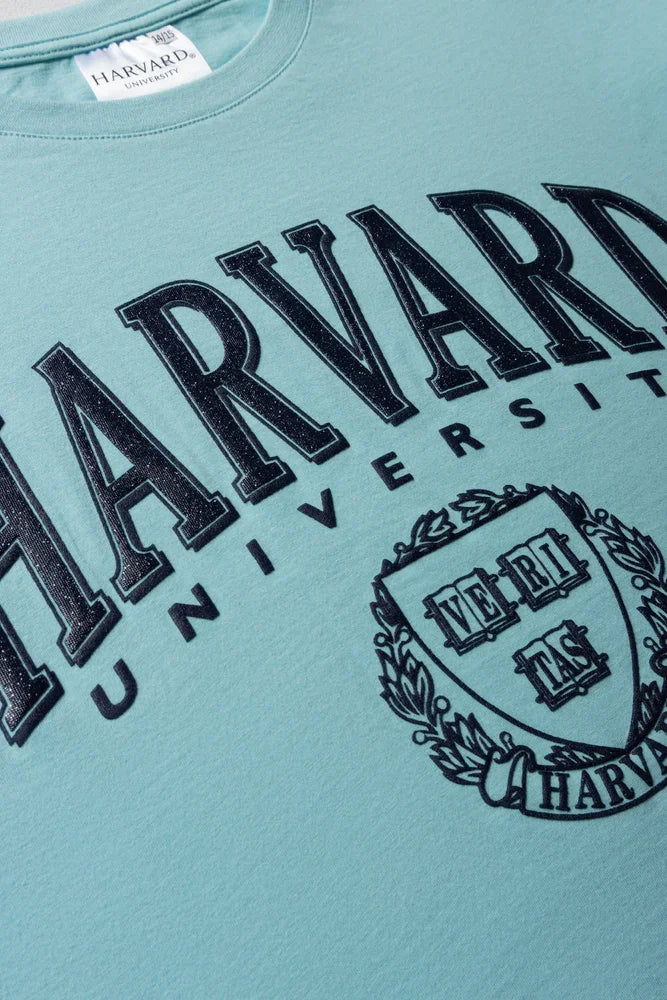 Harvard Boxy Short Sleeve T-Shirt Aqua