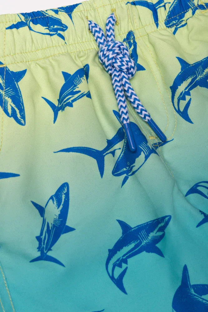 Swim Shorts Blue