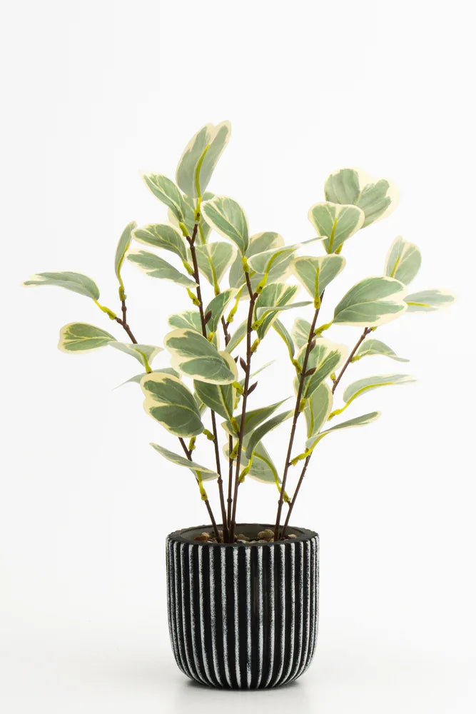 Green 2 Tone Plant 35cm