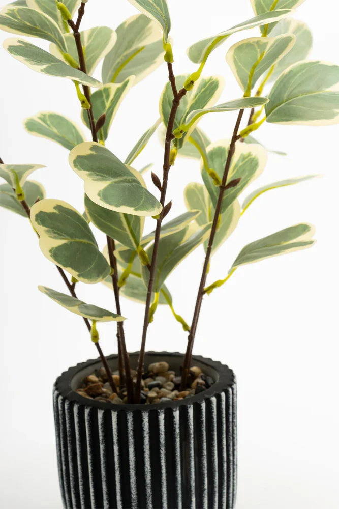 Green 2 Tone Plant 35cm