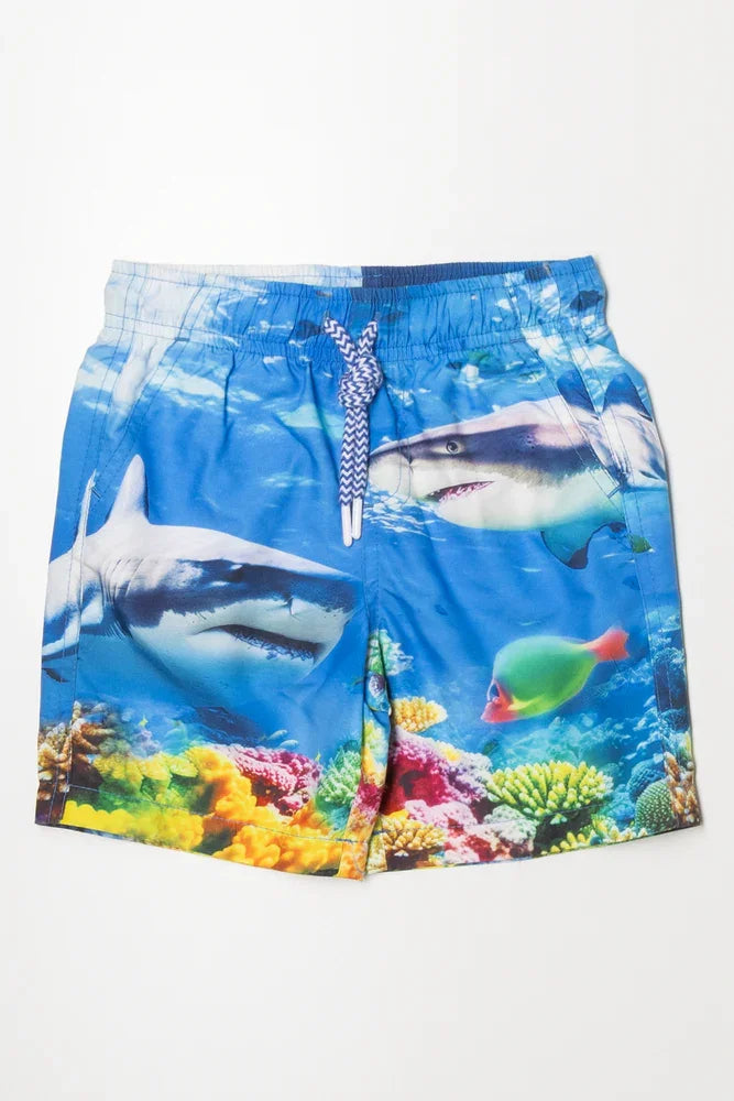 Swim Shorts Blue