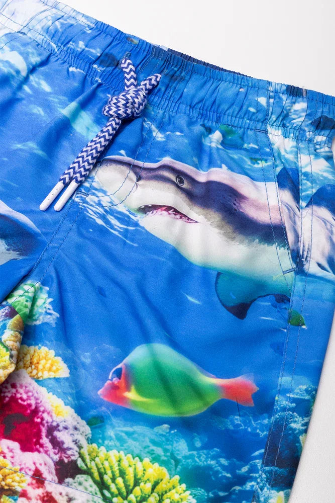 Swim Shorts Blue