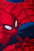 Spiderman Swimsuit (1)