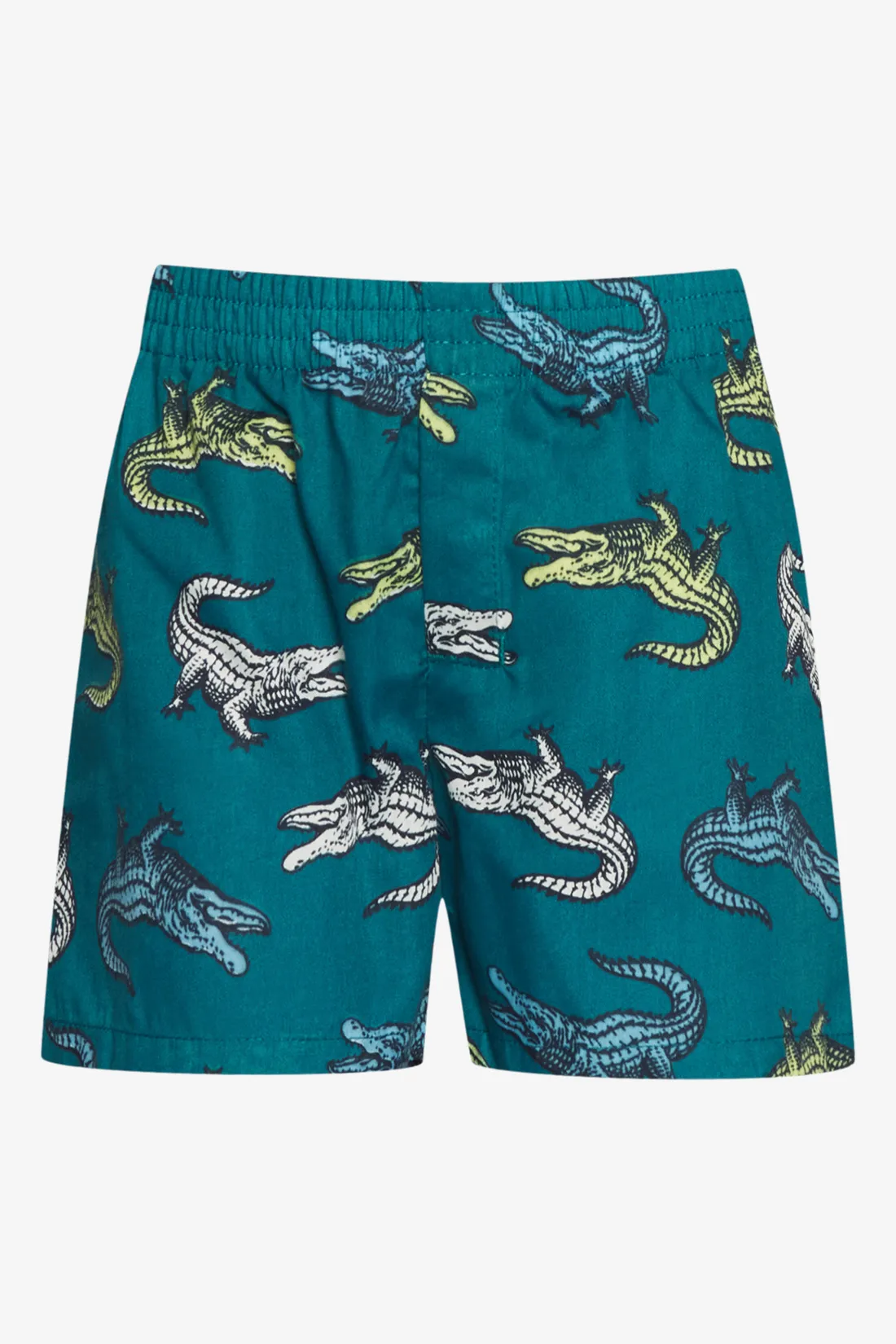 3 Pack crocodile boxers green - BOYS 2-8 YEARS Underwear & Socks ...