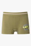3 Pack Seam-Free Boxers Black, Green & Grey (1)