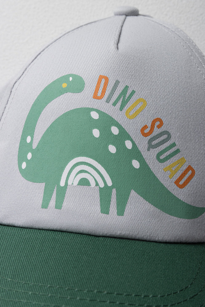 Dinosaur Peak Cap Grey & Green