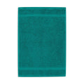 Guest Towel Emerald (1)