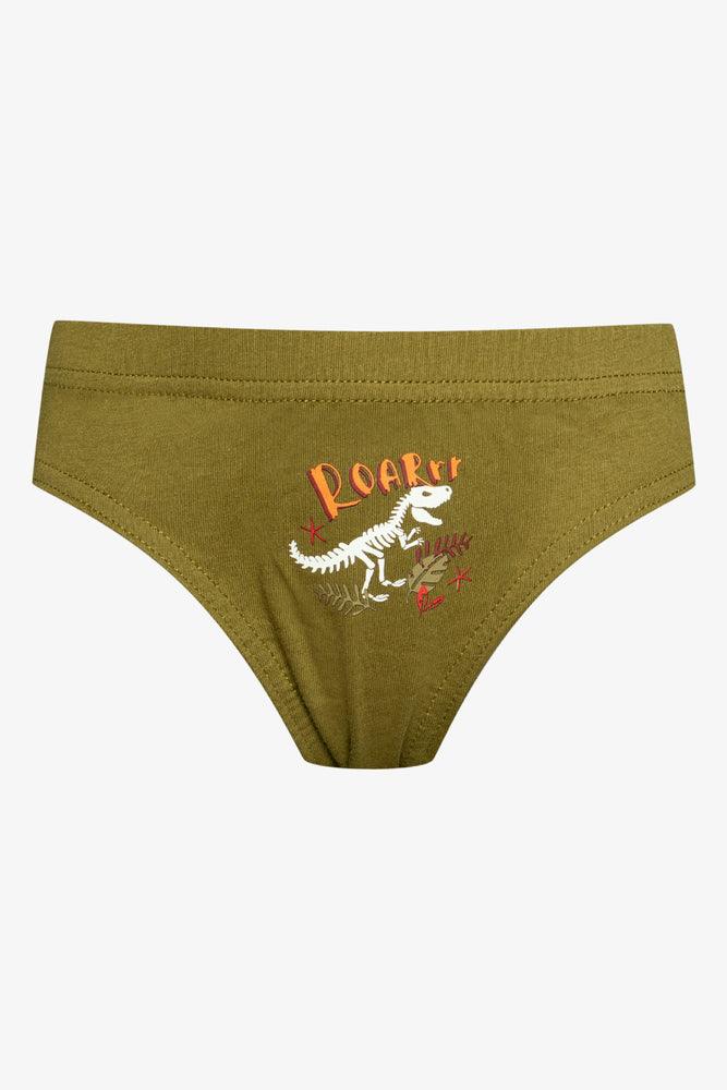5 Pack Dino Briefs Multi (1)