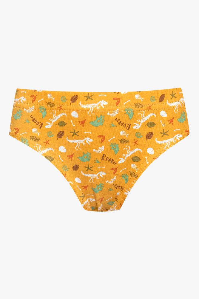5 Pack Dino Briefs Multi (2)