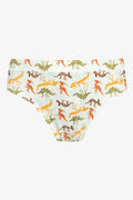 5 Pack Dino Briefs Multi (3)