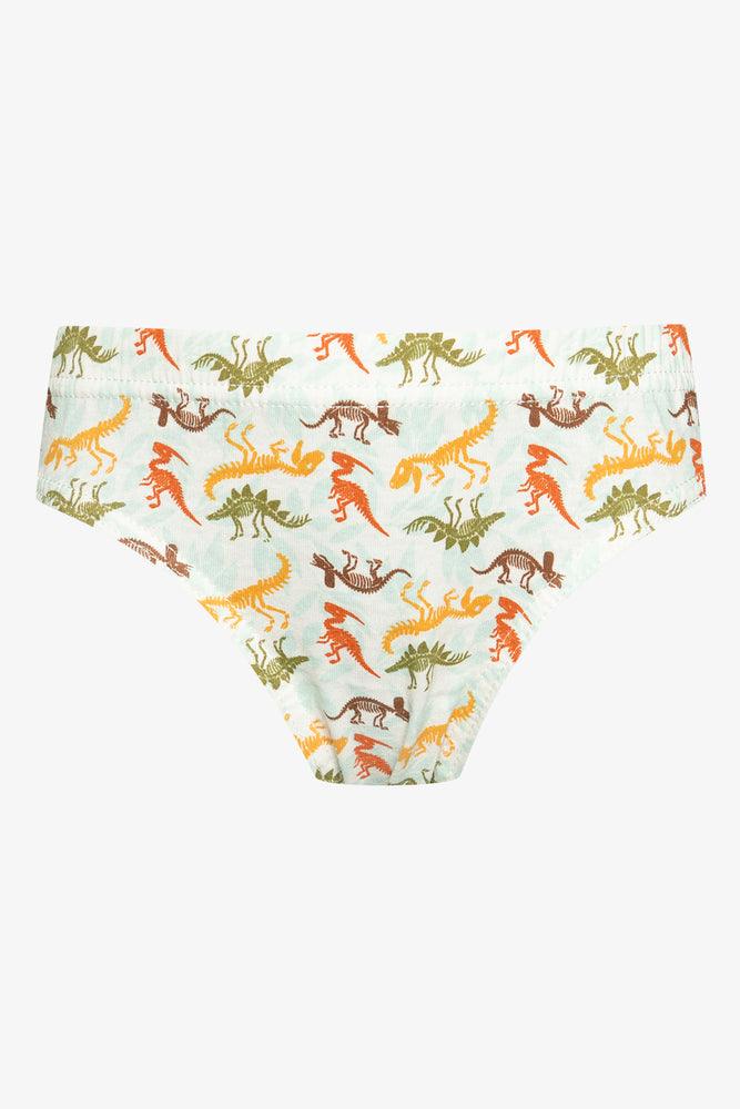 5 Pack Dino Briefs Multi (3)