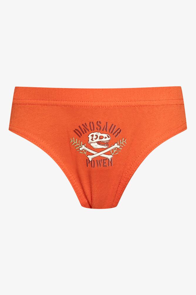 5 Pack Dino Briefs Multi (5)