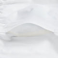 Unisex School Sports Shorts White (3)