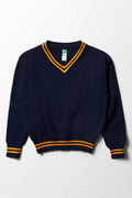 Unisex Primary School Long Sleeve Stripe Jersey Navy