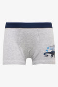 3 Pack Boxers Blue (1)