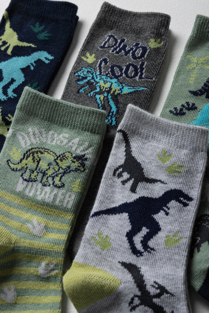 5 Pack Dinosaur Socks Multi