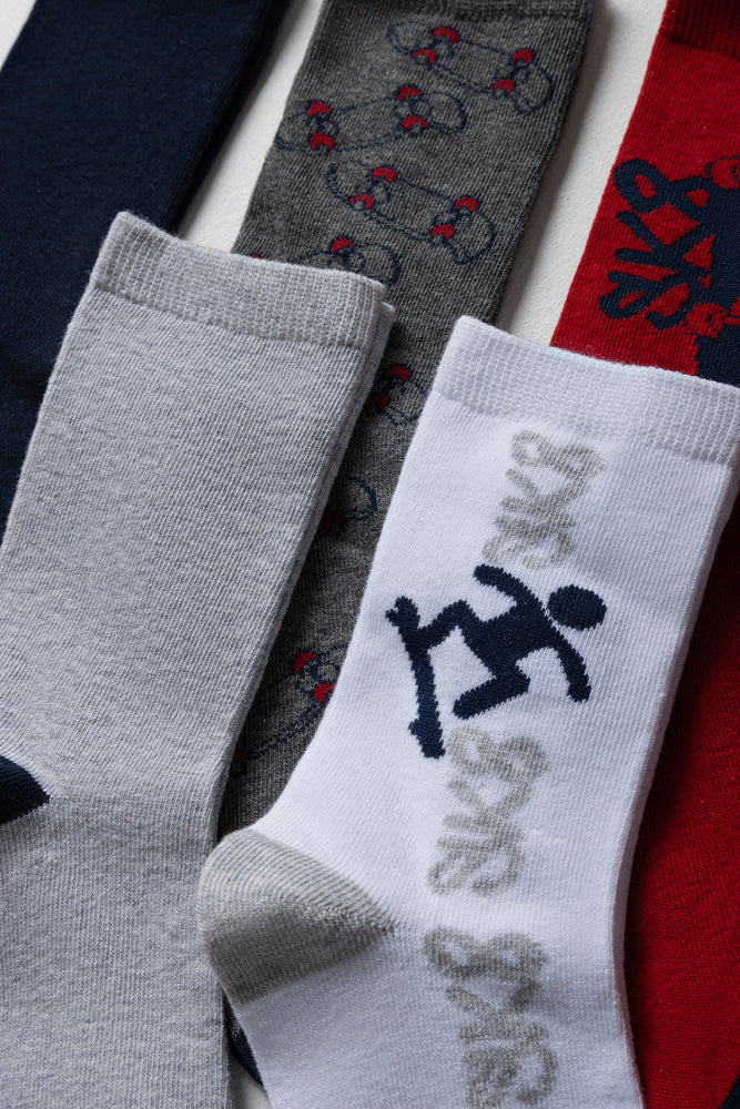 5 Pack Socks Multi (1)