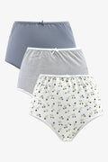 3 Pack Briefs White & Blue (3)