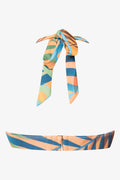 Fern Print Halter Neck Bikini Top Blue Multi (1)