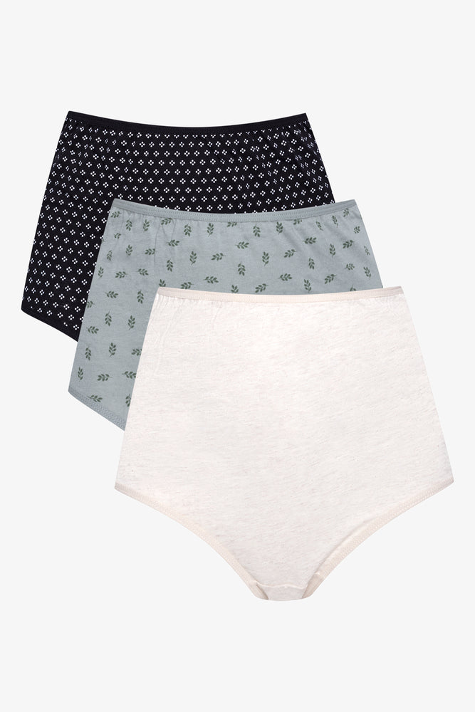 3 Pack Brief Panties