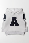 Hoodie Grey