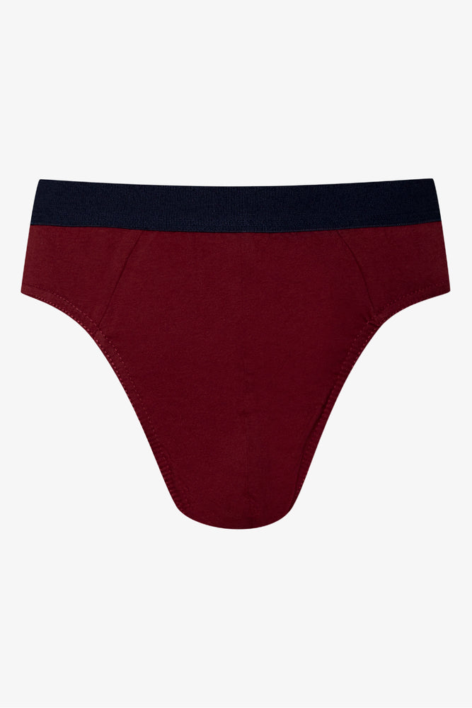 3 Pack Briefs Navy And Burgundy (3)