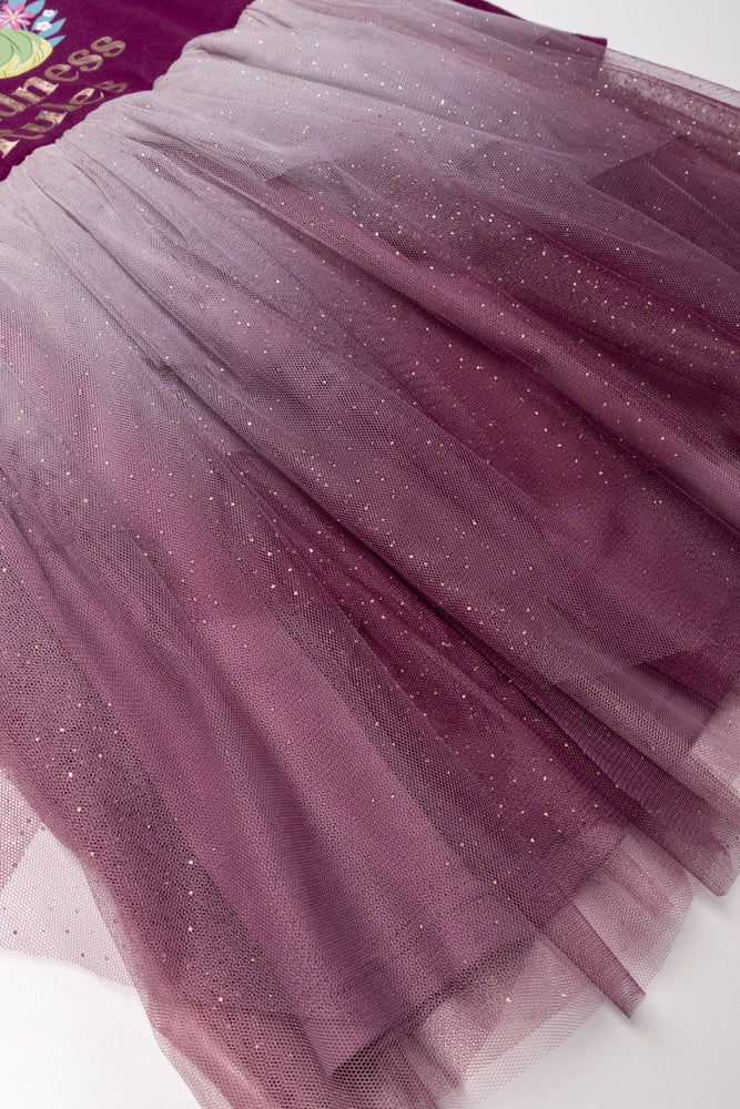 Disney Princesses Dress Burgundy