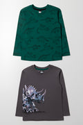 2 Pack Dinosaur Long Sleeve T-Shirt Green And Grey