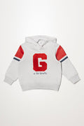 Hoodie Grey