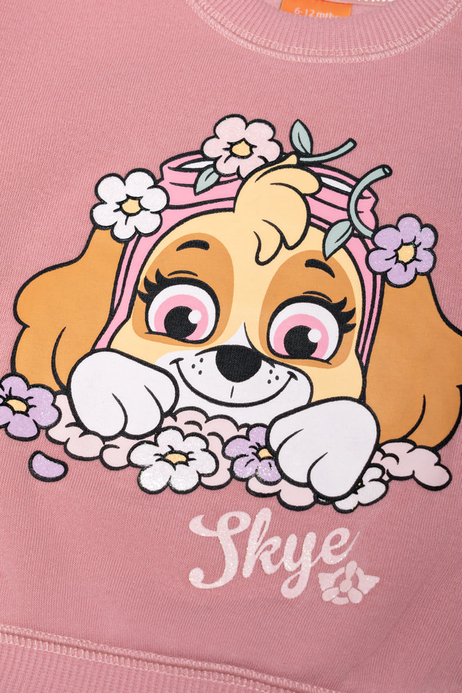 Paw Patrol Crew Neck Tracktop And Leggings Set Pink