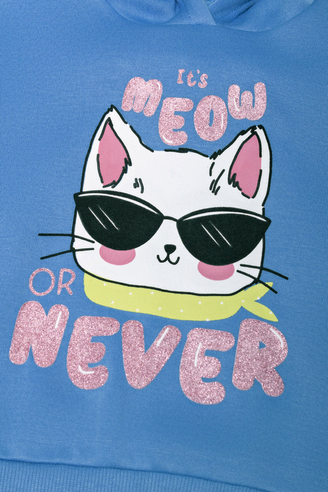 2 Pack Cool Cat Hoodies Blue And Pink (1)