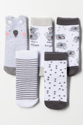 5 Pack Koala Socks Grey