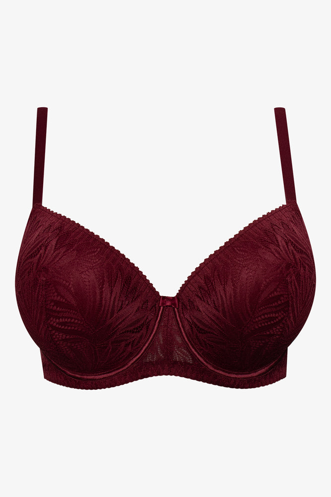 Plus Size 2 Pack Lace Balconette Bras Burgundy And Natural