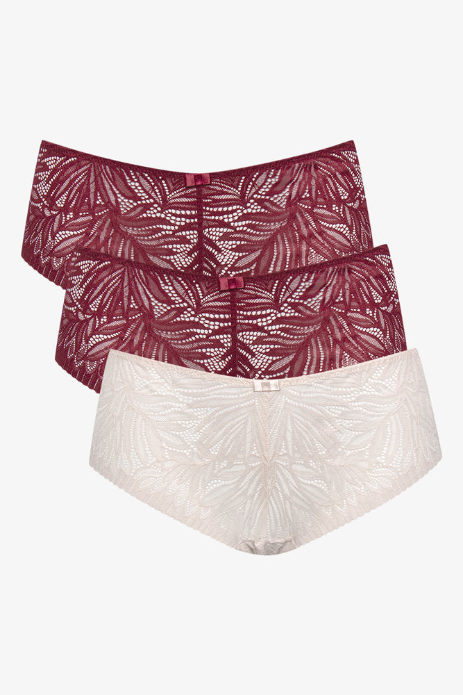 3 Pack Lace Boyleg Burgundy And Natural