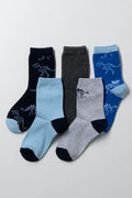 5 Pack Dinosaur Socks Multi