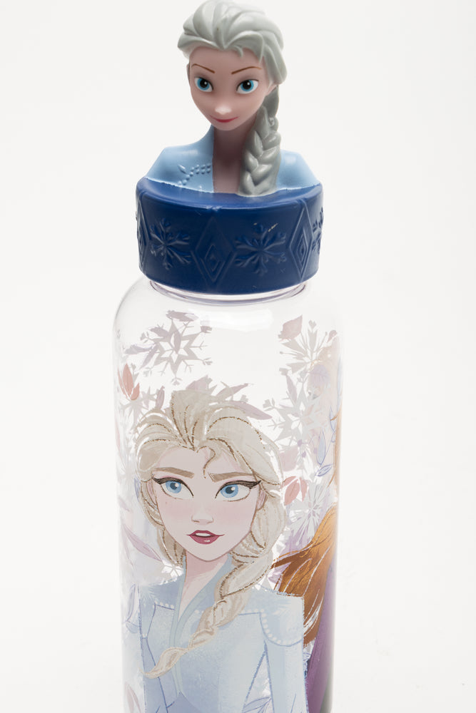 3D Frozen Water Bottle