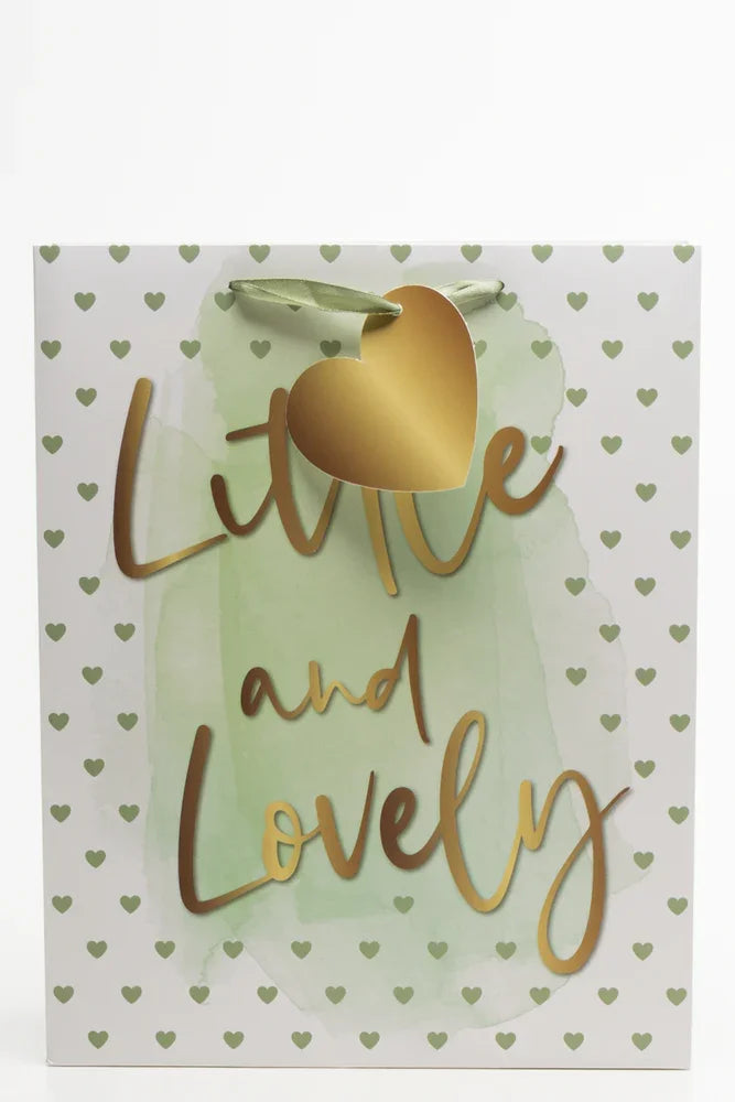 Little And Lovely Gift Bag Green