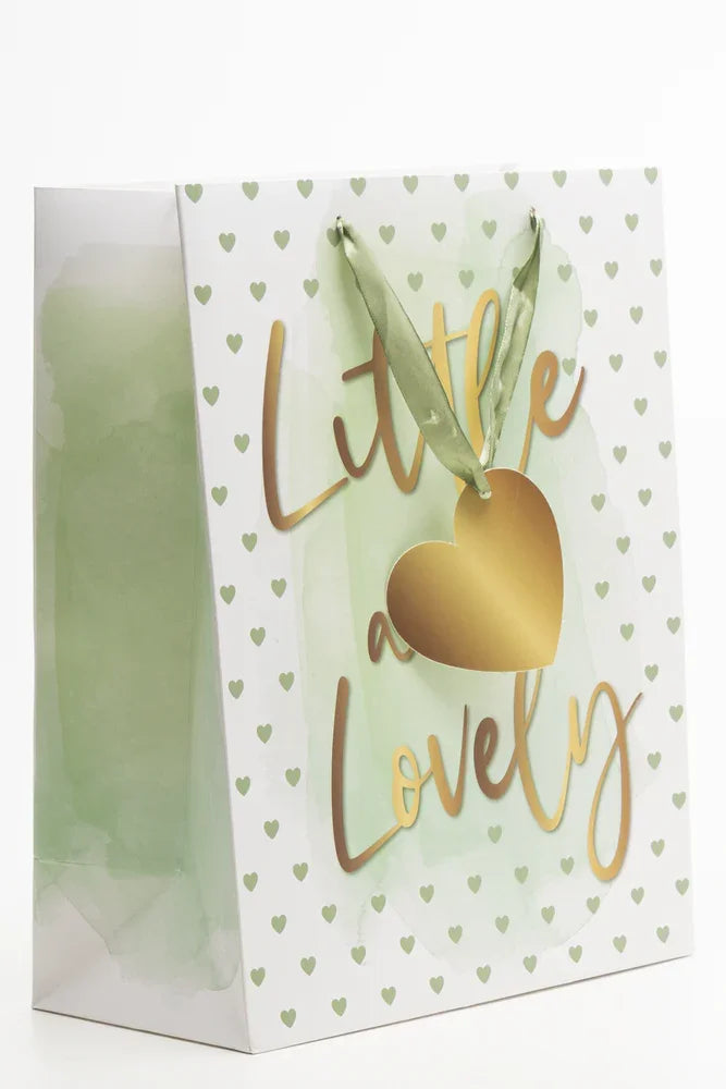 Little And Lovely Gift Bag Green (1)