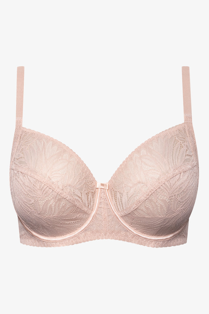 Plus Size 2 Pack Lace Non Padded Underwire Bras Brown And Natural